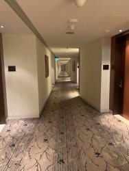 IMG_0874.jpg IMG_0874.jpg