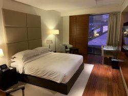 IMG_0876.jpg IMG_0876.jpg