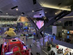 IMG_0881.jpg IMG_0881.jpg