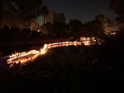 IMG_6742.jpg IMG_6742.jpg