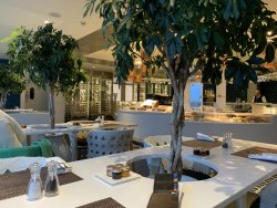 45694662-9BED-4DCE-943F-45FE52884C1F.jpeg 45694662-9BED-4DCE-943F-45FE52884C1F.jpeg