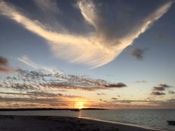 19B1619E-63DD-45E9-8163-11837AD6006C.jpeg 19B1619E-63DD-45E9-8163-11837AD6006C.jpeg