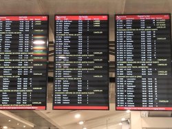 44116705-ED27-46D7-A25F-04EE9E538601.jpeg 44116705-ED27-46D7-A25F-04EE9E538601.jpeg