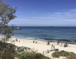 18587043-DBB8-4B7F-86F1-7F7B3A538A9E.jpeg 18587043-DBB8-4B7F-86F1-7F7B3A538A9E.jpeg