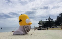 C33D5C46-35D5-480B-A73D-2910DCEE3246.jpeg C33D5C46-35D5-480B-A73D-2910DCEE3246.jpeg