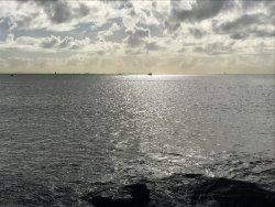 1C9866D5-480A-4167-9DBB-89255D91C891.jpeg 1C9866D5-480A-4167-9DBB-89255D91C891.jpeg