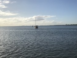 90E72968-D19D-4B3E-8861-4172FB93C13B.jpeg 90E72968-D19D-4B3E-8861-4172FB93C13B.jpeg