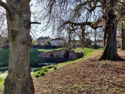 2020-03-23 08.16.48.jpg 2020-03-23 08.16.48.jpg