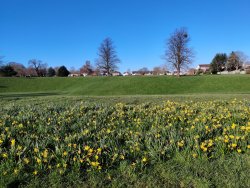 2020-03-23 08.18.03.jpg 2020-03-23 08.18.03.jpg