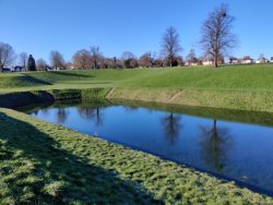 2020-03-23 08.18.34.jpg 2020-03-23 08.18.34.jpg