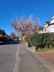 2020-03-23 08.22.22.jpg 2020-03-23 08.22.22.jpg