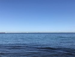 F1554376-A29F-4457-9FB1-C9F4DE45DC82.jpeg F1554376-A29F-4457-9FB1-C9F4DE45DC82.jpeg