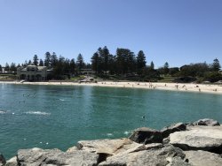 2559990F-1361-46D4-8461-D3E3A14229A8.jpeg 2559990F-1361-46D4-8461-D3E3A14229A8.jpeg