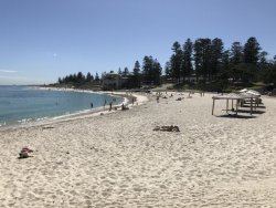 6693B8D8-F7D8-4C57-A551-B99298F02E38.jpeg 6693B8D8-F7D8-4C57-A551-B99298F02E38.jpeg