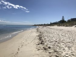 8AE00018-AF4D-41E6-8580-E4A404193654.jpeg 8AE00018-AF4D-41E6-8580-E4A404193654.jpeg