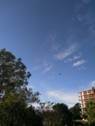 IMG_20200329_171959.jpg IMG_20200329_171959.jpg