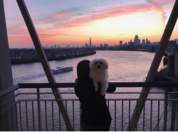 1585485131788.png 1585485131788.png