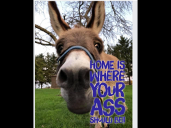 5B4055DB-F602-4A64-91EE-E64255890B3D.png 5B4055DB-F602-4A64-91EE-E64255890B3D.png