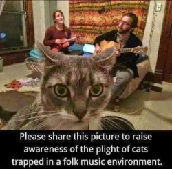 1585628223378.png 1585628223378.png