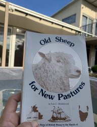 43EF5DAF-C50B-4DD6-A81D-DFE769883301.jpeg 43EF5DAF-C50B-4DD6-A81D-DFE769883301.jpeg