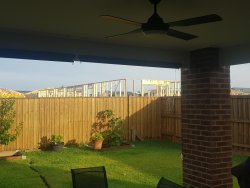 20200403_084616.jpg 20200403_084616.jpg