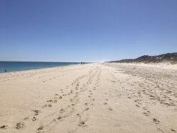 46CD2A3A-F9ED-4155-8442-2A5C4C599410.jpeg 46CD2A3A-F9ED-4155-8442-2A5C4C599410.jpeg