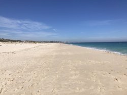 163736BF-0DA1-4538-8F6B-C7AF819ADEA3.jpeg 163736BF-0DA1-4538-8F6B-C7AF819ADEA3.jpeg