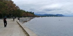 20190913_140047_HDR.jpg 20190913_140047_HDR.jpg