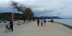 20190913_140734.jpg 20190913_140734.jpg