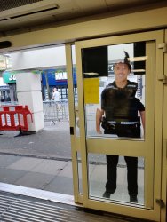 IMG_20200411_170542.jpg IMG_20200411_170542.jpg