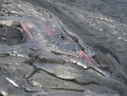 RIMG0073.JPG RIMG0073.JPG