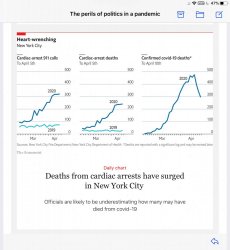 E52B0B78-B8C6-4607-AC8A-E9051A137776.jpeg E52B0B78-B8C6-4607-AC8A-E9051A137776.jpeg