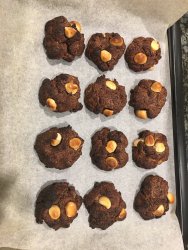 995E733A-3E67-40F2-AB21-BF03EC0AF6AC.jpeg 995E733A-3E67-40F2-AB21-BF03EC0AF6AC.jpeg