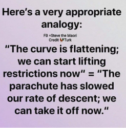 1587255111074.png 1587255111074.png