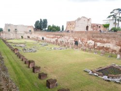 P5071204.JPG P5071204.JPG