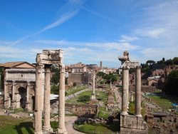 1-p5091536.jpg 1-p5091536.jpg