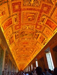 1-p5081382 (1).jpg 1-p5081382 (1).jpg