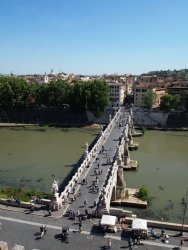 P5081502.JPG P5081502.JPG