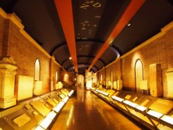 P5091532.JPG P5091532.JPG