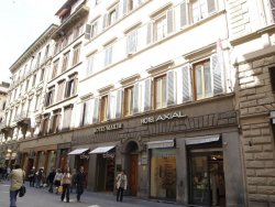 P5141813.JPG P5141813.JPG