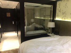 IMG_1923.JPEG IMG_1923.JPEG