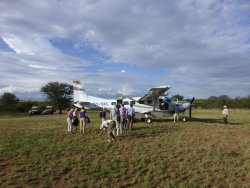 P1020272.JPG P1020272.JPG