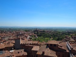 P5111672.JPG P5111672.JPG