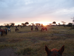 Screen Shot 2020-04-23 at 6.25.13 pm.png Screen Shot 2020-04-23 at 6.25.13 pm.png