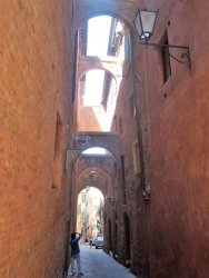 P5111687 (2).JPG P5111687 (2).JPG