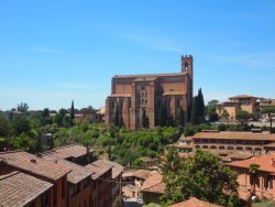 1-p5111685.jpg 1-p5111685.jpg