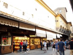 P5131741 (2).JPG P5131741 (2).JPG