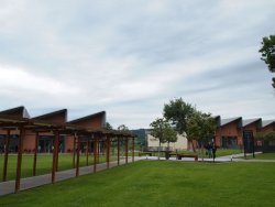 P5131753.JPG P5131753.JPG