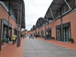 P5131757 (2).JPG P5131757 (2).JPG