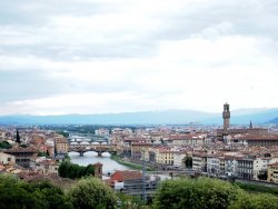 P5141804 (2).JPG P5141804 (2).JPG